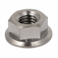 Stainless Steel Flange Nut Bolt Silver